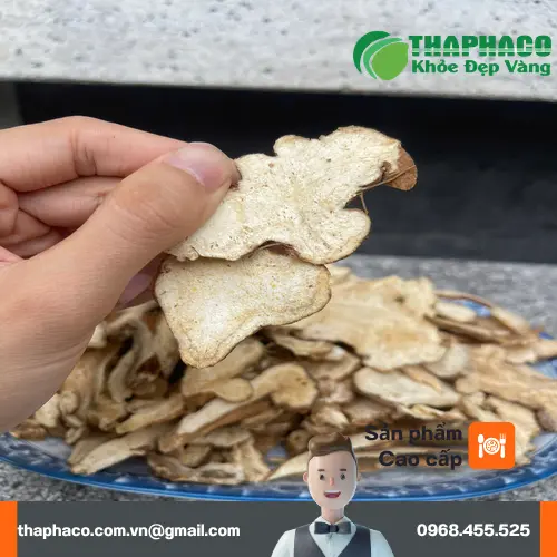 Bạch Truật khô được THAPHACO chọn lựa và đóng gói cẩn thận