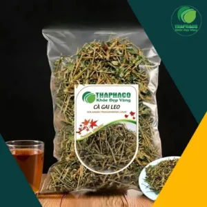Cà Gai Leo Sấy Khô THAPHACO: Giá Tốt & Chất Lượng Đảm Bảo