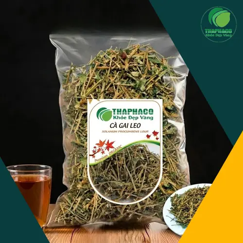 Cà Gai Leo sấy khô THAPHACO chất lượng cao