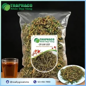 Địa Chỉ Bán Cà Gai Leo Sấy Khô Uy Tín Tại TP.HCM