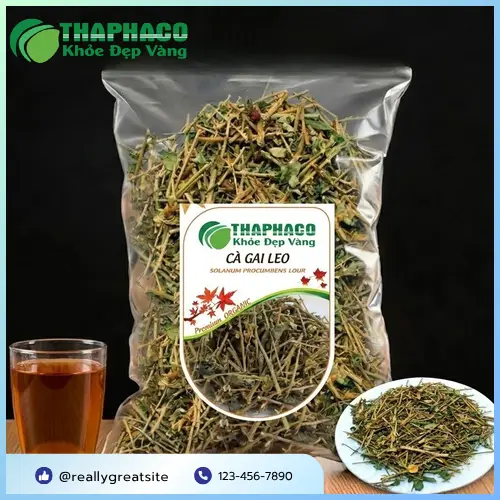 Cà Gai Leo Sấy Khô THAPHACO Chất Lượng Cao