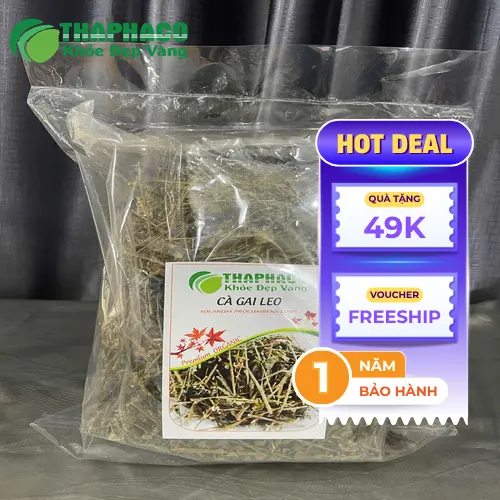 Cà gai leo khô chất lượng từ THAPHACO