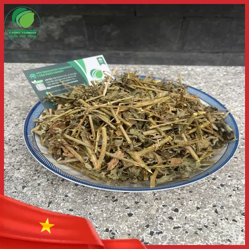 Cà gai leo khô được đóng gói cẩn thận