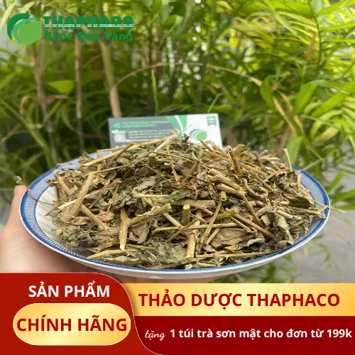 Cà gai leo khô đã được đóng gói cẩn thận