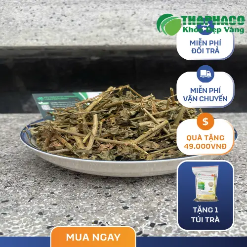 Hình ảnh bác sĩ đang tư vấn cho bệnh nhân