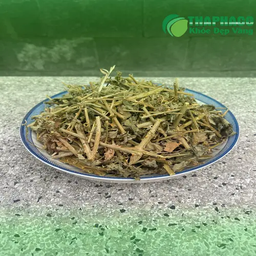 Sản phẩm cà gai leo chất lượng từ THAPHACO
