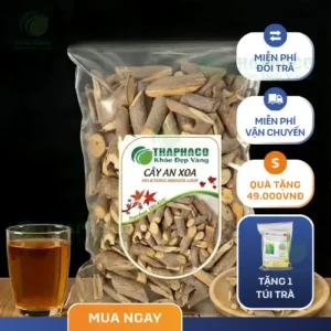 Cây An Xoa Sấy Khô Tại TP.HCM - Địa Chỉ Uy Tín THAPHACO