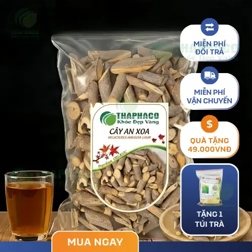 Cây an xoa sấy khô chất lượng THAPHACO