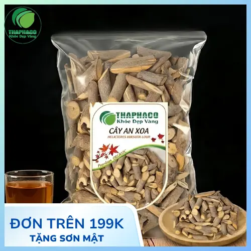 Hình ảnh tổng quan cây an xoa