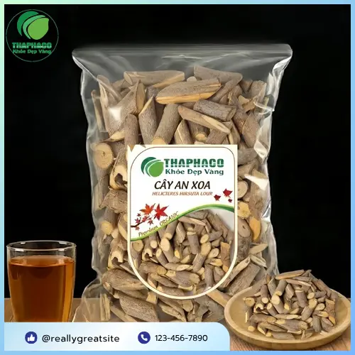 Cây An Xoa khô sau khi thu hoạch và sơ chế tại THAPHACO