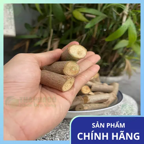 Thành phần hóa học của cây an xoa