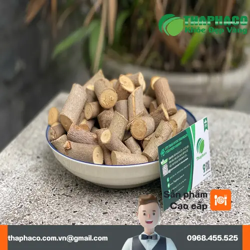 Địa chỉ THAPHACO bán cây an xoa sấy khô tại TP.HCM