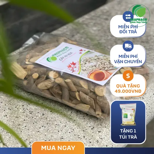 Cách dùng và bảo quản cây an xoa đúng cách