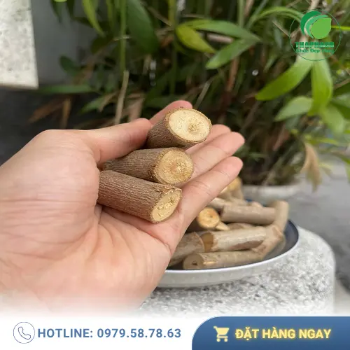 Sản phẩm An Xoa khô chất lượng từ THAPHACO