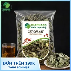 Địa Chỉ Bán Cây Cối Xay Khô Tại TP.HCM Uy Tín THAPHACO