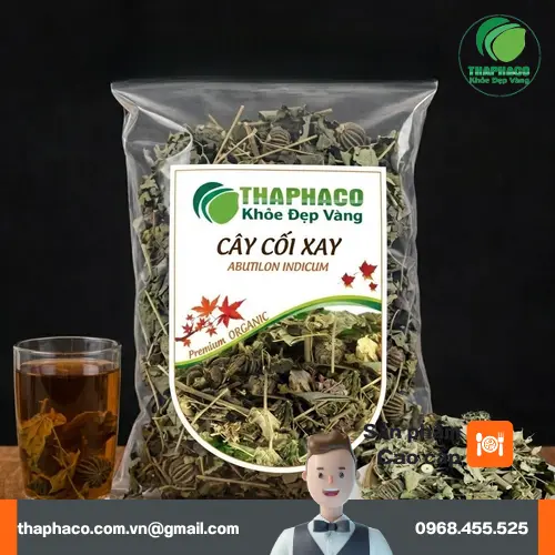 Hình ảnh cây cối xay trong tự nhiên