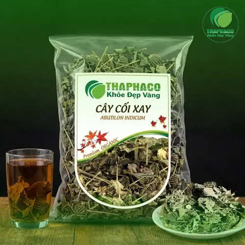 Hình ảnh tổng thể cây Cối Xay với lá, hoa và quả đặc trưng
