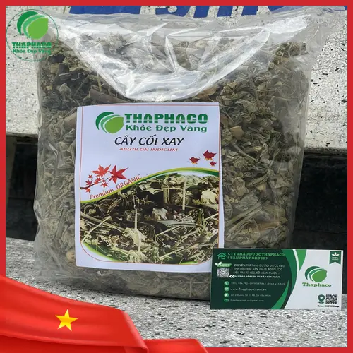 Phân biệt cây cối xay tươi và khô
