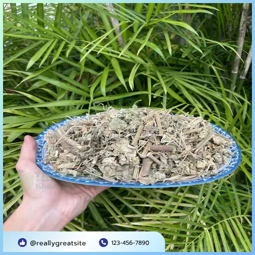 Nước sắc từ cây cối xay khô