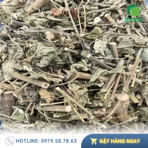 Cách dùng cây cối xay khô để pha trà