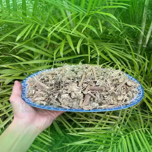 Cách dùng cây cối xay đúng cách để đạt hiệu quả