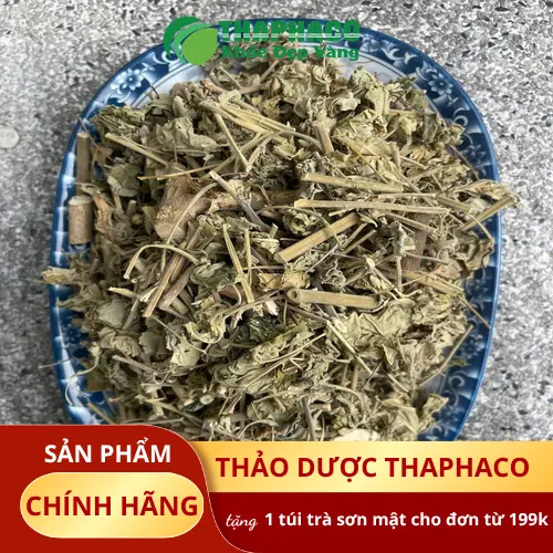 Quá trình lựa chọn và sơ chế Cây Cối Xay tại THAPHACO