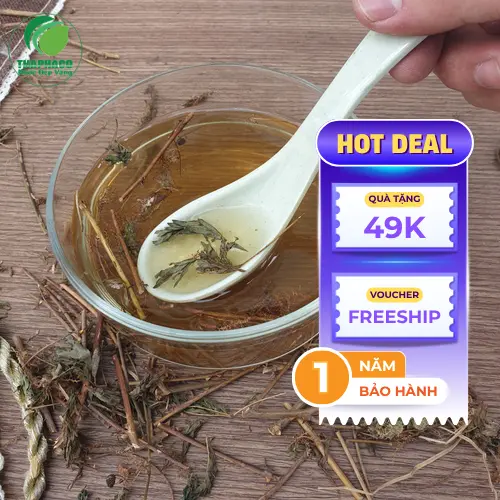 Giải thích cơ chế an thần nhẹ của cây xấu hổ
