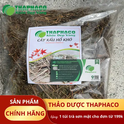 Lưu ý khi dùng cây xấu hổ