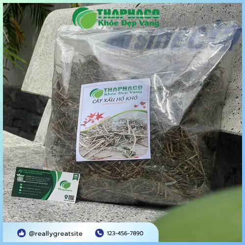 Lựa chọn cây xấu hổ khô chất lượng từ THAPHACO