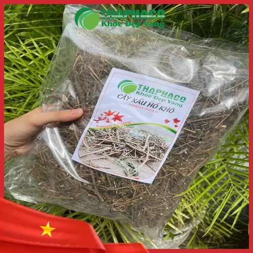 Nước sắc từ cây xấu hổ