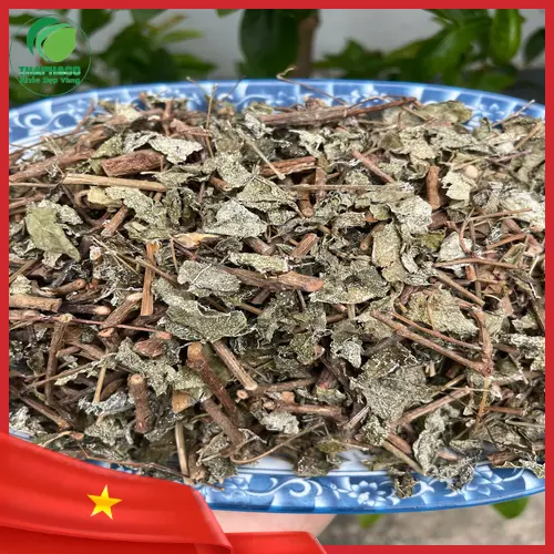 Phấn chè dây tự nhiên trên thân và lá chè khô