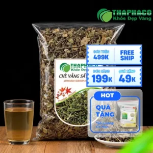 Mua Chè Vằng Khô Ở Đâu Đảm Bảo Chất Lượng? THAPHACO