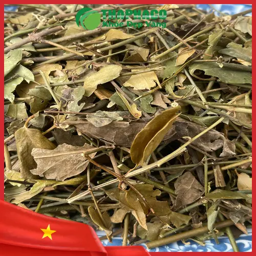 Công dụng hỗ trợ của chè vằng khô THAPHACO
