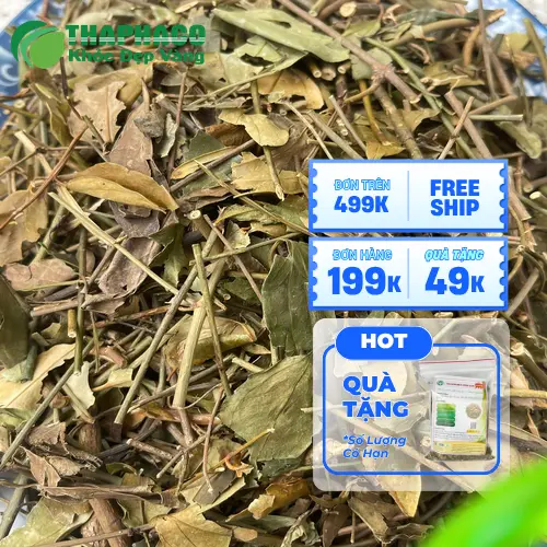 Tiêu chí đánh giá nhà cung cấp chè vằng khô sỉ uy tín