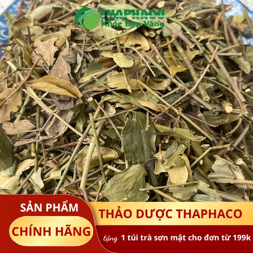 Quy trình sản xuất Chè Vằng Sấy Khô THAPHACO đạt chuẩn
