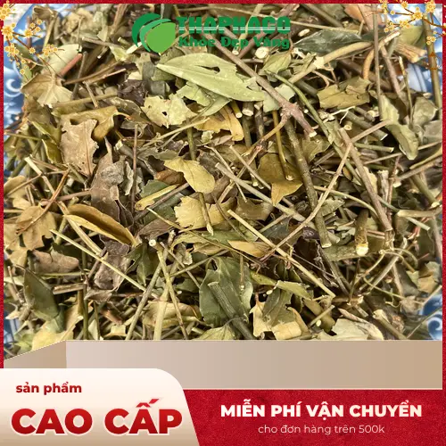 Hình ảnh chè vằng sấy khô THAPHACO đóng gói