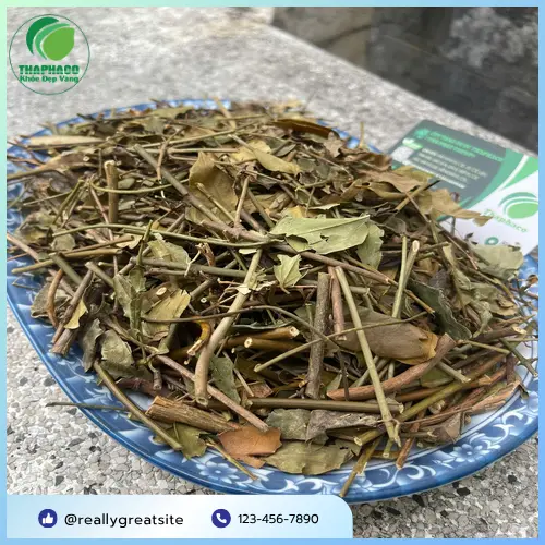 Cách dùng Chè Vằng Sấy Khô hiệu quả