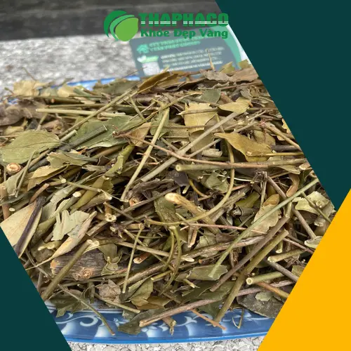 Cách pha chè vằng đúng chuẩn tại nhà