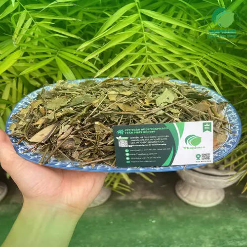 Lưu ý quan trọng khi sử dụng chè vằng
