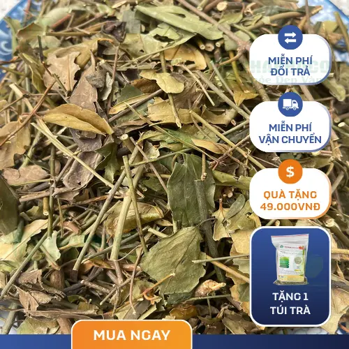 Sản phẩm chè vằng khô THAPHACO đóng gói