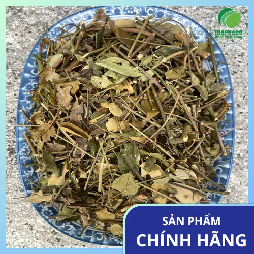 Địa chỉ mua Chè Vằng Sấy Khô uy tín tại TP.HCM
