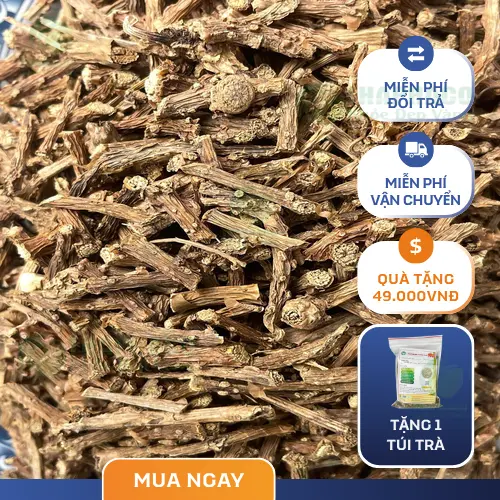 Vị trí lưu trữ dây thần thông khô trên kệ cao, khô ráo