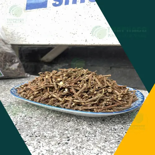 Dây Thần Thông Khô hỗ trợ tăng cường sức đề kháng và thanh nhiệt giải độc