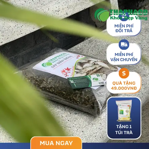 Nguyên tắc an toàn khi sử dụng dây thần thông