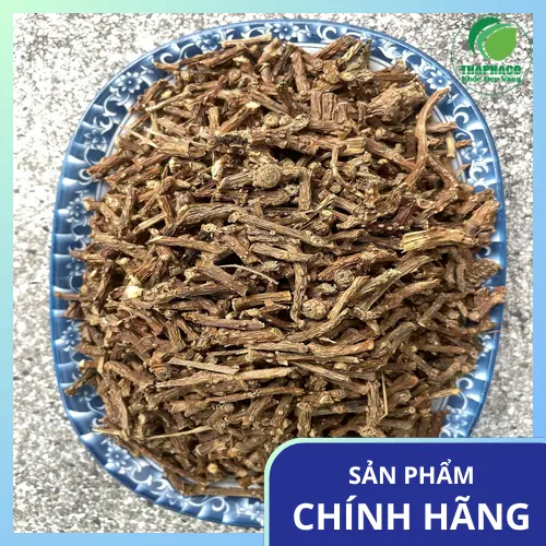 Kiểm tra dây thần thông khô định kỳ để phát hiện ẩm mốc
