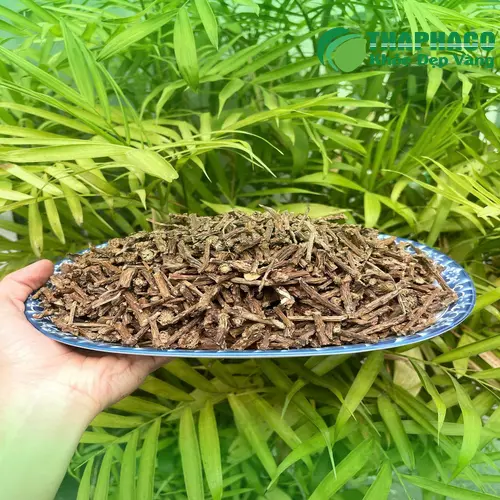 Luôn tham khảo ý kiến chuyên gia trước khi dùng Dây Thần Thông Khô, đặc biệt với các đối tượng đặc biệt