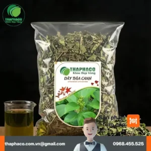 1kg Dây Thìa Canh Giá Tốt Tại TP.HCM – THAPHACO