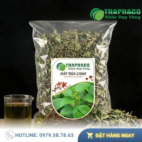 Hình ảnh Dây Thìa Canh tươi với lá hình thìa đặc trưng
