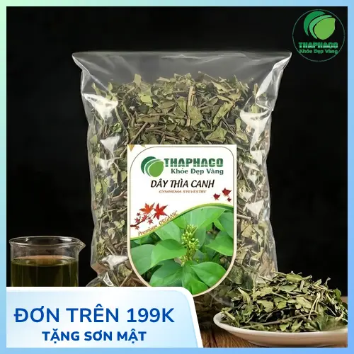 Dây Thìa Canh khô tại THAPHACO
