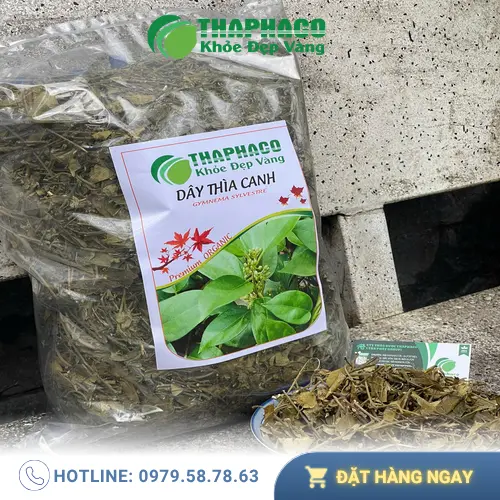 Lợi ích hỗ trợ sức khỏe của Dây Thìa Canh THAPHACO